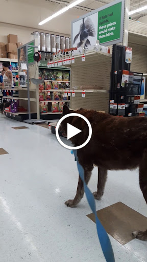Pet Supply Store «Pet Supplies Plus», reviews and photos, 5394 Kemps River Dr Suite 101, Virginia Beach, VA 23464, USA