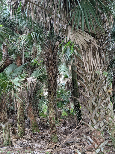 Park «Seminole Palms Park», reviews and photos, 151 Lamstein Ln, Royal Palm Beach, FL 33411, USA