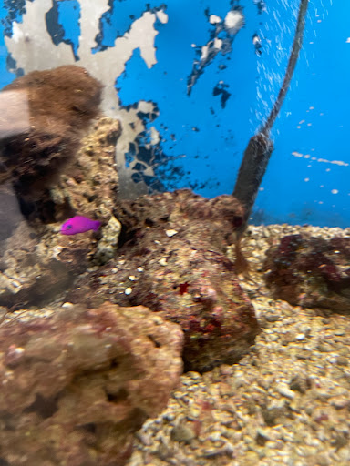 Pet Store «Pet World Warehouse Outlet», reviews and photos, 2984 S 108th St, Milwaukee, WI 53227, USA