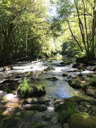 Minho Fly Fishing - Monção