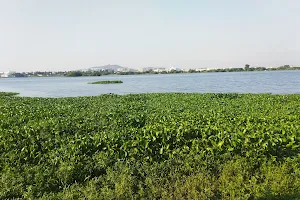 Nanmangalam Lake image