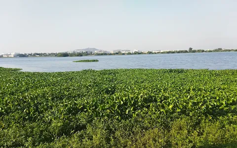 Nanmangalam Lake image