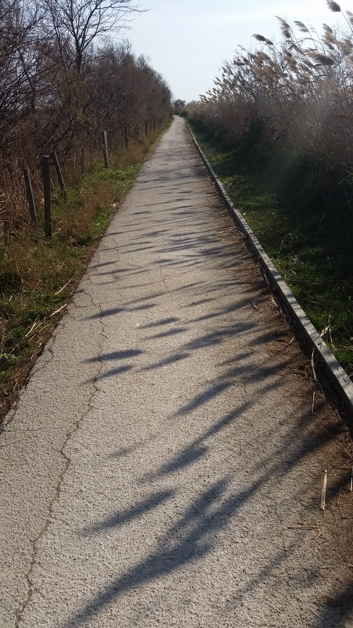 Photo n° 3 de l'avis de J..a fait le 28/02/2019 à 22:24