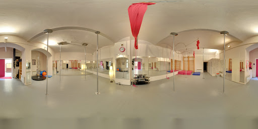 Moschna, pole dance center