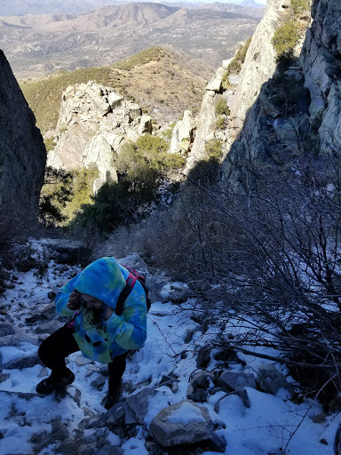 Movie Theater «Harkins Theatres Superstition Springs 25», reviews and photos, 6950 E Superstition Springs Blvd, Mesa, AZ 85209, USA