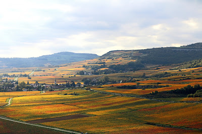 Prima Vinae à Chassagne-Montrachet