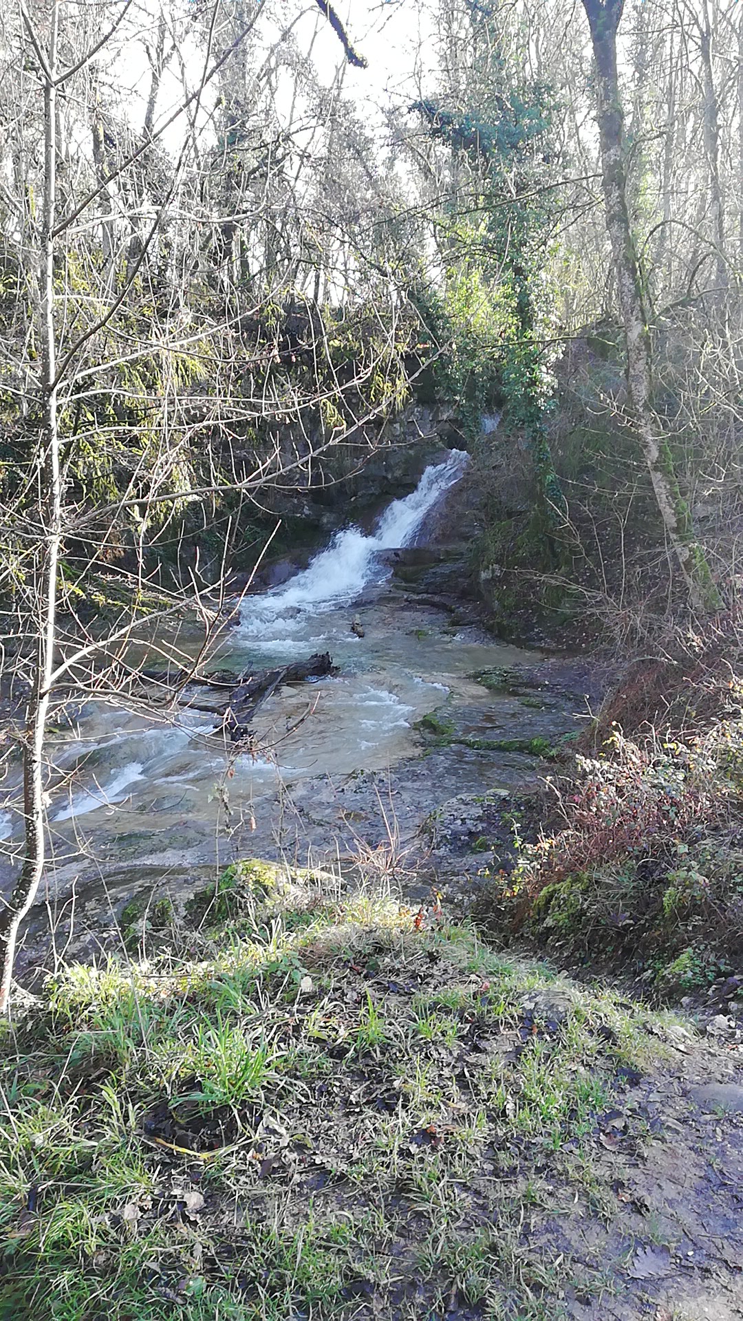 Photo n° 1 de l'avis de B. fait le 10/01/2023 à 12:20