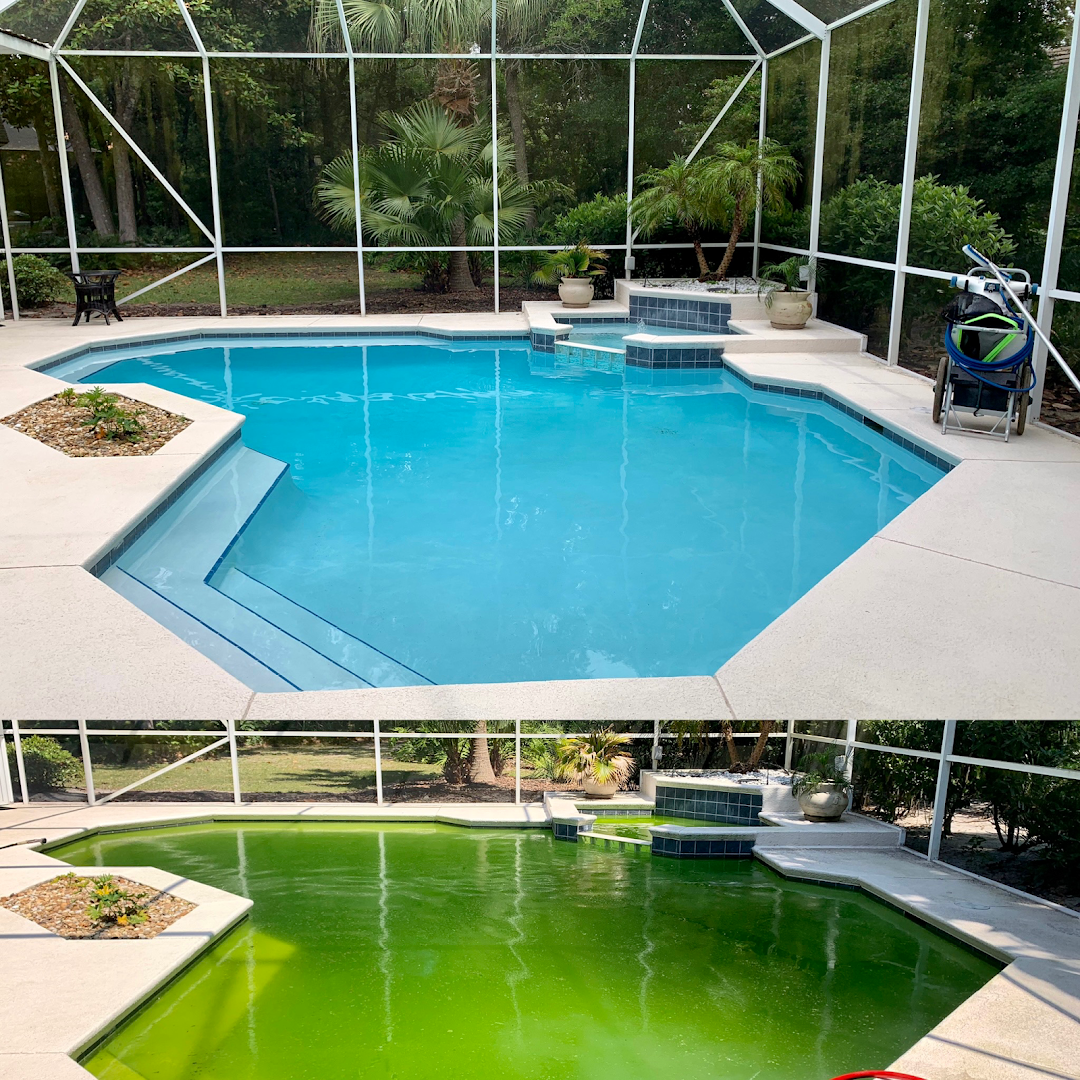 Blue Point Pool Service