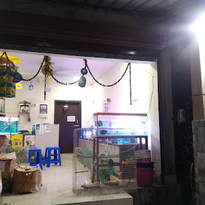 Aqua Fish And Pets photo