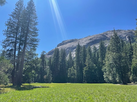 Auto Insurance Agency «Torrey Moe - State Farm Insurance Agent», reviews and photos