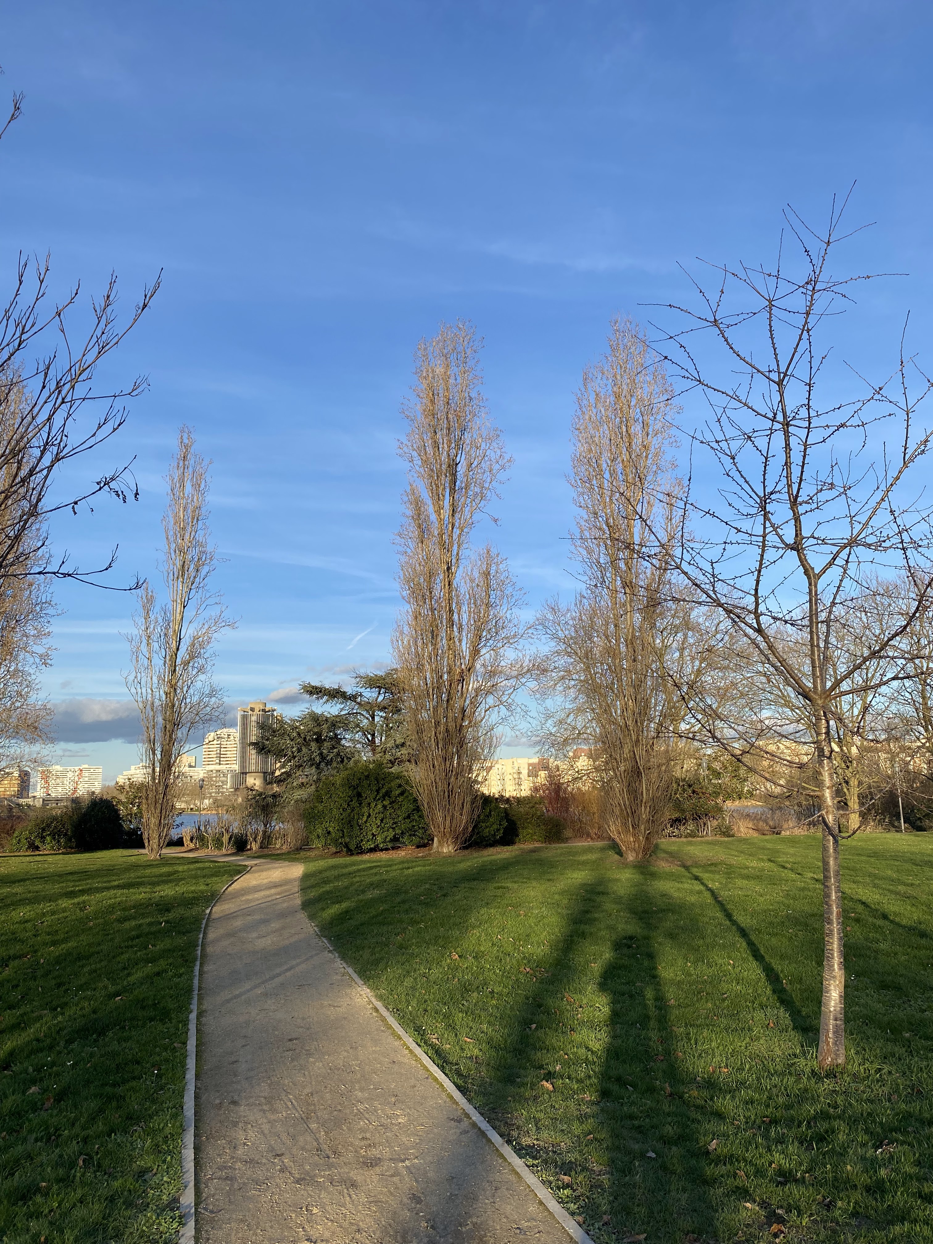Photo n° 10 de l'avis de jérémie-louis.D fait le 16/01/2024 à 00:35