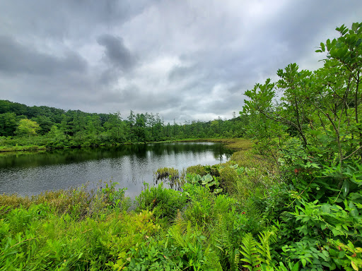 Nature Preserve «Tom S Cooperrider-Kent Bog State Nature Preserve», reviews and photos, 1028 Meloy Rd, Kent, OH 44240, USA