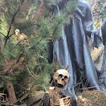 Photo n° 1 de l'avis de catherine.f fait le 12/11/2023 à 09:34 pour Nigloland à Dolancourt