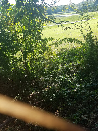 Golf Course «Presidents Golf Course», reviews and photos, 357 W Squantum St, Quincy, MA 02171, USA