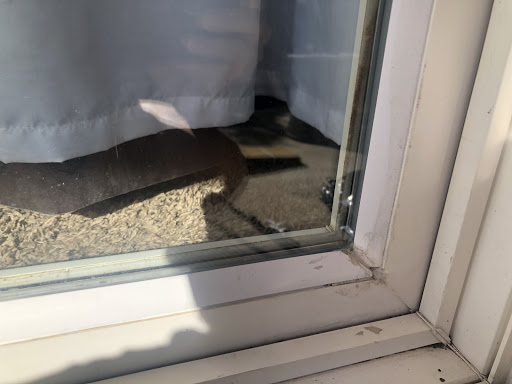 Roofing Contractor «Peak View Roofing Co», reviews and photos, 4605 Town Center Dr, Colorado Springs, CO 80916, USA