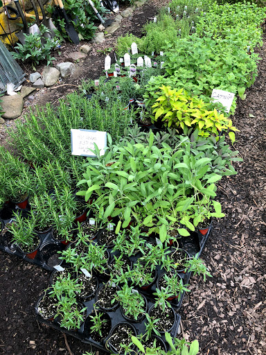 Garden Center «Stonewall Garden Center», reviews and photos, 4675 PA-447, Canadensis, PA 18325, USA