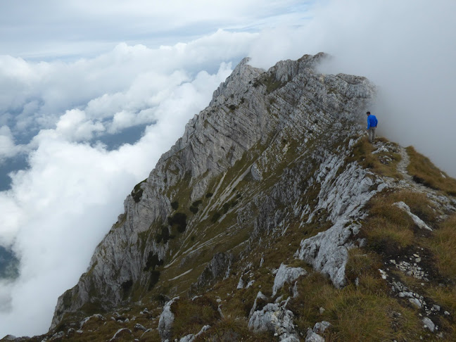 Opinii despre Alpine Adventure - Outdoor and Adventure Tours Romania în <nil> - Agenție de turism