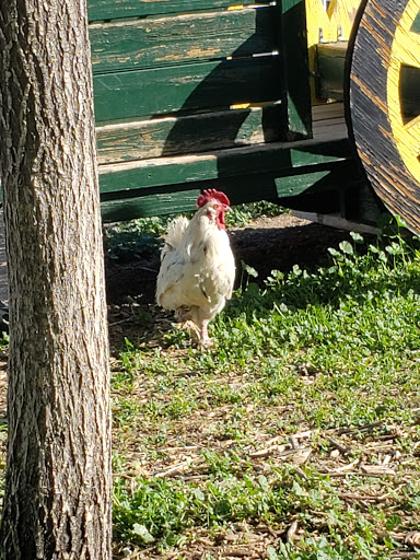 Produce Market «Berry Patch Farms», reviews and photos, 13785 Potomac St, Brighton, CO 80601, USA