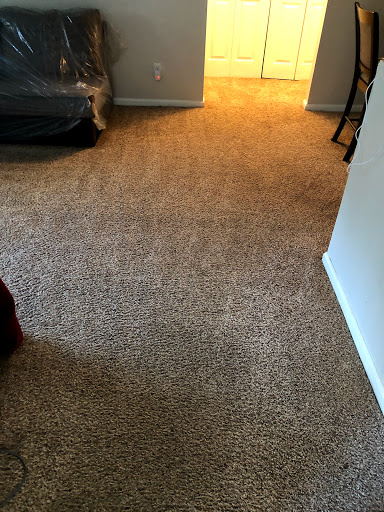 Reset Carpet Cleaning LLC
