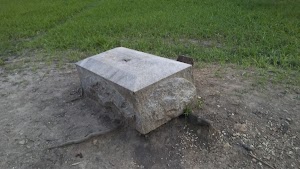Bachelors Grove Cemetery - photo 32