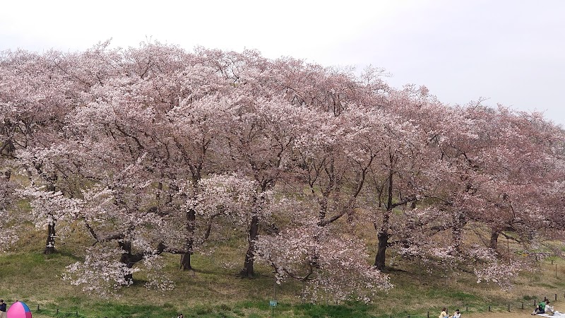 根岸森林公園 第一駐車場