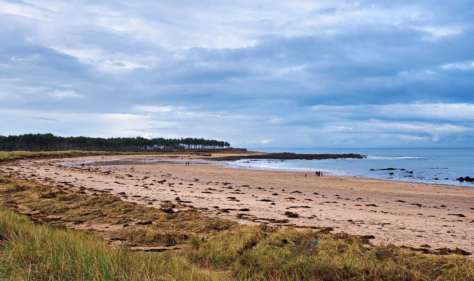 Yellowcraig Beach photo #4