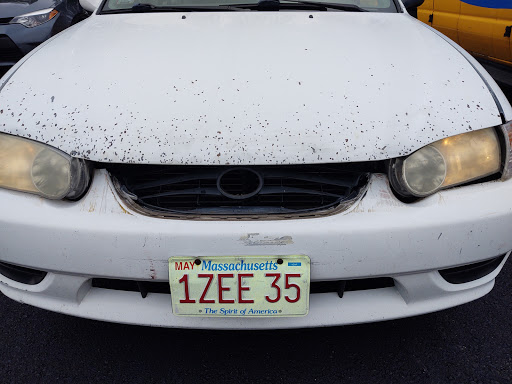 Moving and Storage Service «Humboldt Storage and Moving», reviews and photos, 100 New Boston Dr, Canton, MA 02021, USA