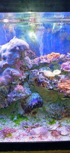 Tropical Fish Store «Monfort Aquarium & Pet», reviews and photos, 6520 Colerain Ave, Cincinnati, OH 45239, USA