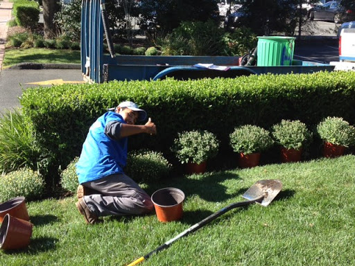 Landscaper «Horizon Landscape Company», reviews and photos, 411 W Main St, Wyckoff, NJ 07481, USA