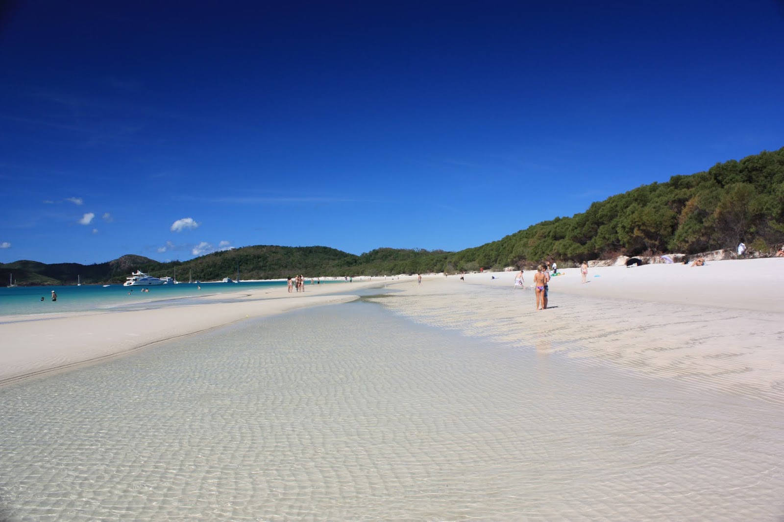 Foto de Praia de Whitehaven com areia fina branca superfície