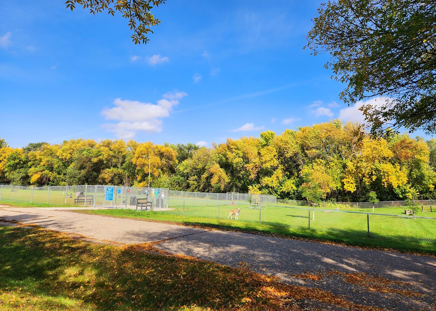 River Oaks Dog Park