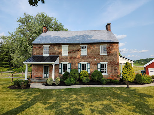 Green Dog Lawn Care LLC