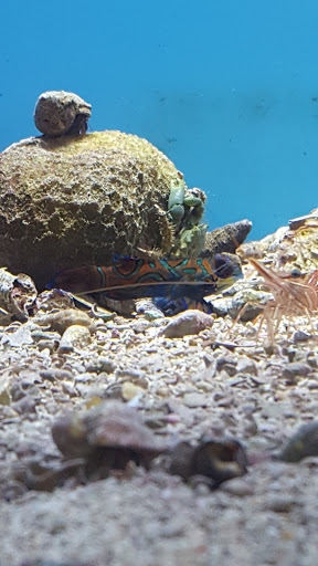 Pet Supply Store «Pet Fun At Harden Ranch Plz», reviews and photos, 1780 N Main St, Salinas, CA 93906, USA