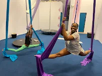 Cirque Divina Studios - Car repair in Savannah, GA, Savannah - Rated 5.0/5