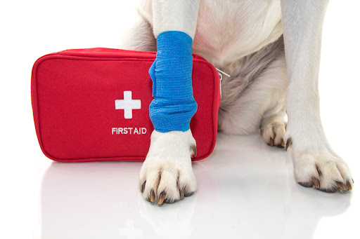 Emergency Pet Bandages