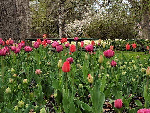 History Museum «Bush House Museum», reviews and photos, 600 Mission St SE, Salem, OR 97302, USA