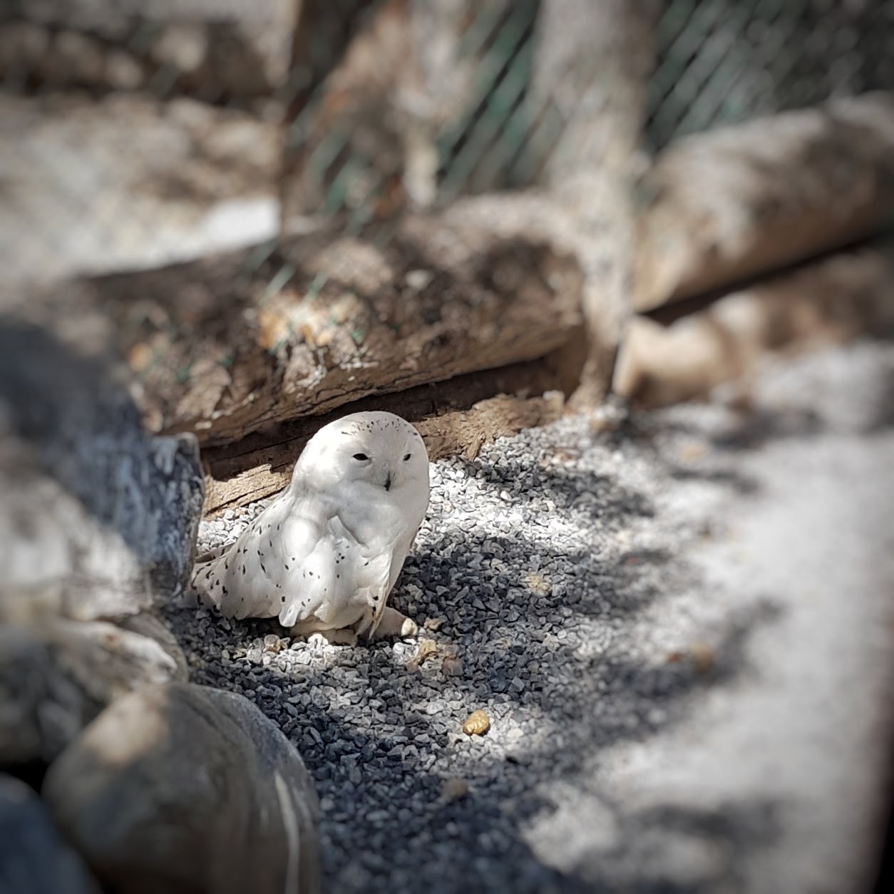 Photo n° 9 de l'avis de Maxence.o fait le 10/05/2018 à 07:26