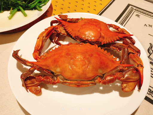 Asian Grocery Store «New Truong Nguyen Market», reviews and photos, 3555 East Walnut Street #221, Garland, TX 75042, USA