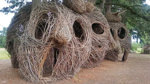 Park «Orchard Park», reviews and photos, 20900 NW Amberwood Dr, Hillsboro, OR 97124, USA