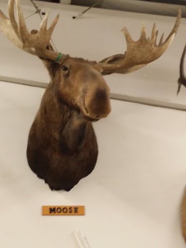 Hardware Store «Ace Hardware», reviews and photos, 1905 Charlestown Rd, New Albany, IN 47150, USA