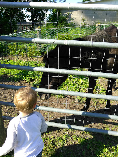 Farm «B & B Flower Farm», reviews and photos, 668 Jones Hill Rd, West Haven, CT 06516, USA