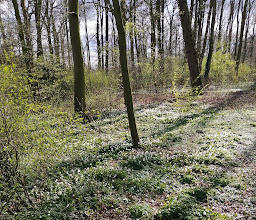 Wohlfskuhlen Park photo