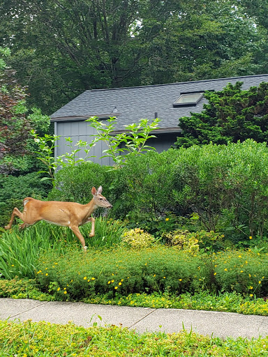 Golf Course «Hobbits Glen Golf Course», reviews and photos, 11130 Willow Bottom Dr, Columbia, MD 21044, USA