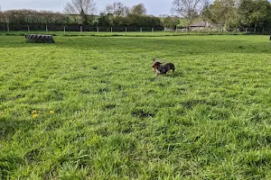 Eppleworth dog exercise park image