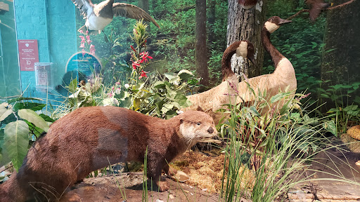 Science Museum «Kentucky Science Center», reviews and photos, 727 W Main St, Louisville, KY 40202, USA