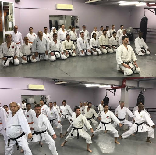 Shane Dorfman Karate Institute