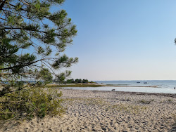 La plage des Aigrettes'in fotoğrafı vahşi alan