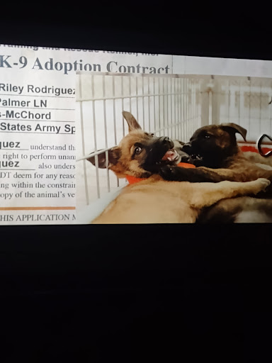 Movie Theater «Cinemark 17», reviews and photos, 2900 Gateway St, Springfield, OR 97477, USA