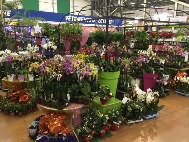 Les Jardins des Ardoisières - Angers