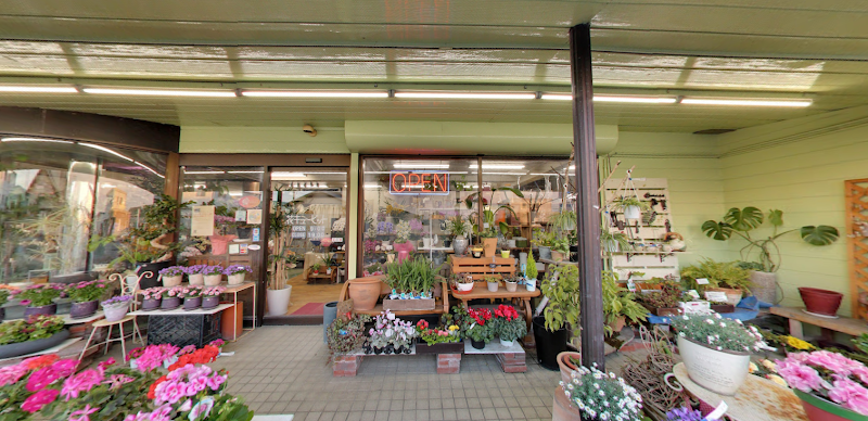 フラワーショップのなか 浜松市店 静岡県浜松市白鳥町 花屋 花 グルコミ